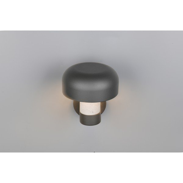 Zewnętrzna lampa ścienna (wysokość 24,5 cm) Fraser – Trio-image-3