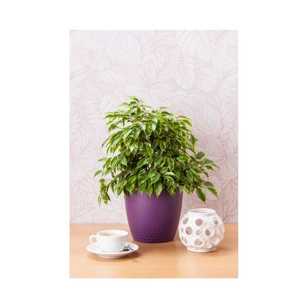 Fioletowa doniczka Plastia Perla, ø 19 cm-image-1