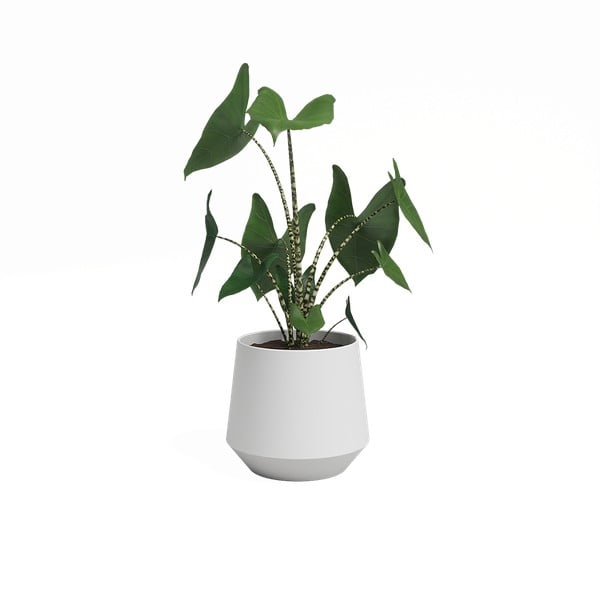 Ceramiczna doniczka ø 17 cm Aurora – Artevasi-image-3