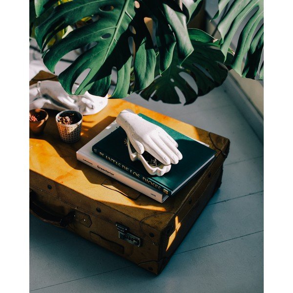 Ceramiczna szkatułka na biżuterię DOIY Hand, 23x11 cm-image-1