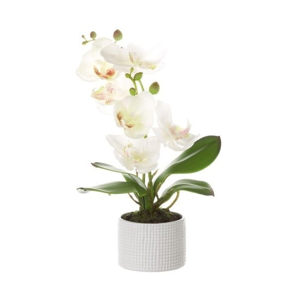 Biała doniczka z rośliną dekoracyjną Unimasa Orchidej