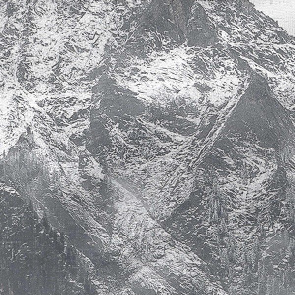 Zestaw 2 bawełnianych poszewek na poduszki Blanc Alaska, 50x75 cm-image-1