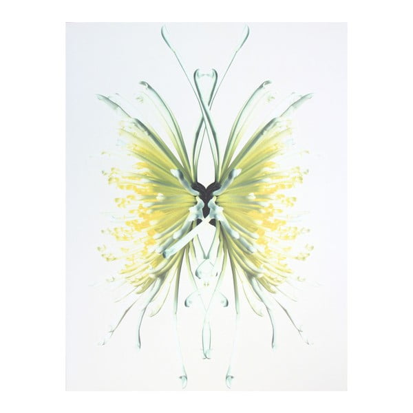 Naklejka dekoracyjna CousCous Chrysanthemum