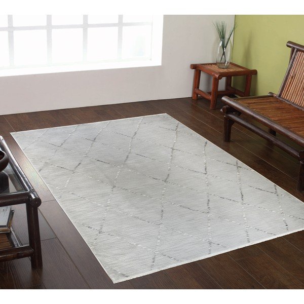 Szary dywan 80x150 cm Jaipur – Webtappeti-image-1