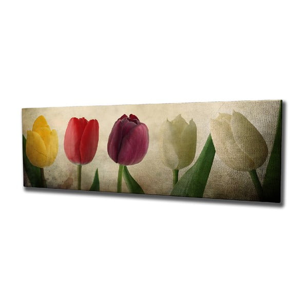 Obraz na płótnie Tulip, 80x30 cm