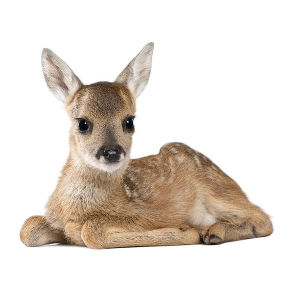 Naklejka ścienna Dekornik Deer Lucy, 115x94 cm