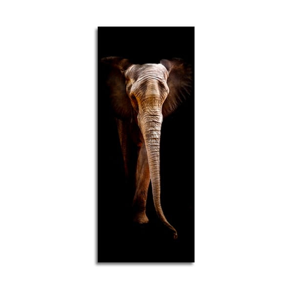 Obraz Styler Elephant, 125x50 cm