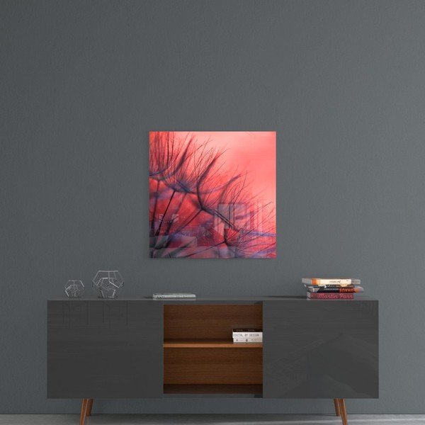 Szklany obraz Insigne Red Dandelion, 40x40 cm-image-1
