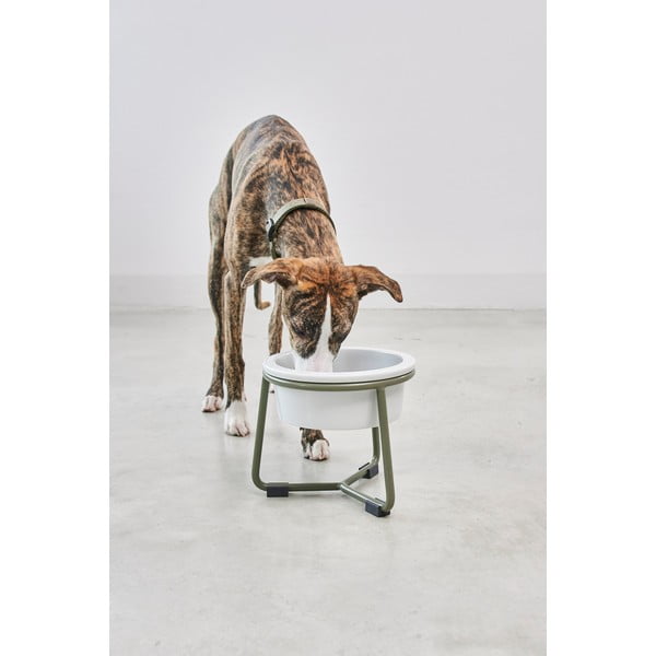 Porcelanowa miska ze stojakiem dla psów ø 20 cm Pranzo Grolive M – MiaCara-image-3