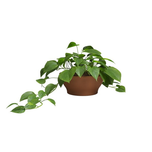 Terakotowa doniczka ø 23 cm Saramago – Artevasi-image-2