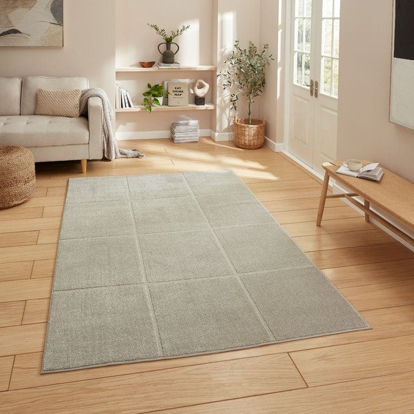 Jasnoszary dywan 120x170 cm Elio Silver – Think Rugs-image-1