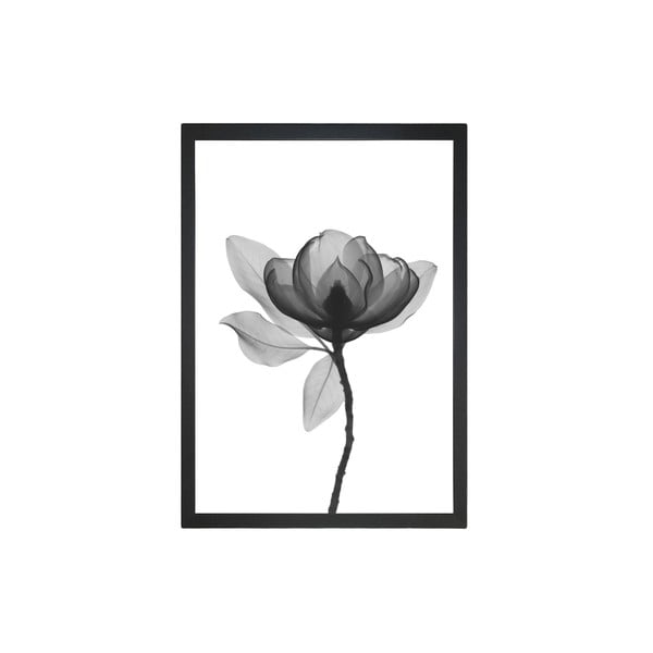 Plakat 24x29 cm Harmony Flower – Tablo Center