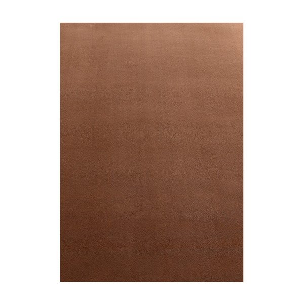Brązowy dywan odpowiedni do prania 60x110 cm Sky – Ayyildiz Carpets
