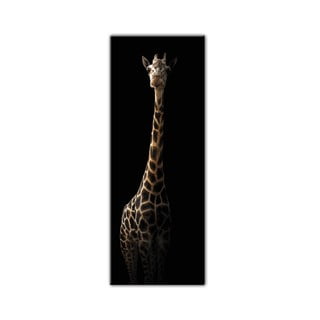 Obraz Styler Glas Animals Gira, 50x125 cm