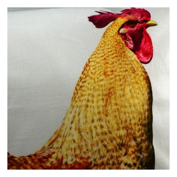 Poduszka Rooster 50x50 cm-image-1