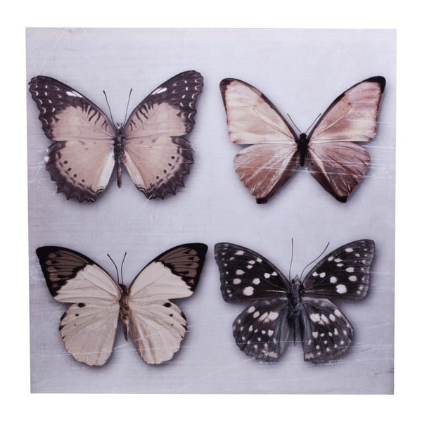 Obraz na płótnie Ewax Quatro Butterfly, 60x60 cm