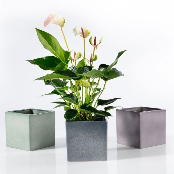 Zielona ceramiczna doniczka Big pots Latina, 15 x 15 cm-image-2