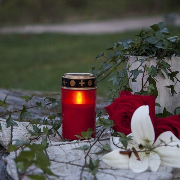 Znicz LED (wys. 12 cm) Serene – Star Trading-image-1