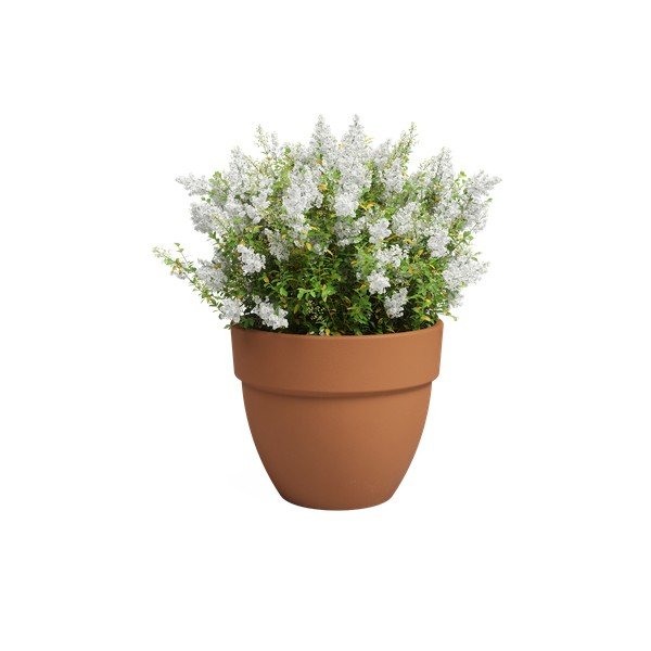 Terakotowa doniczka ø 40 cm Amalia Campana – Artevasi-image-2