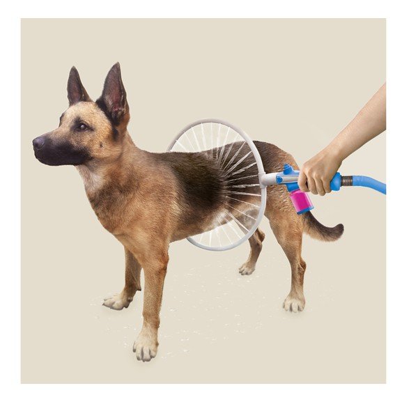 Kółko z akcesoriami do czyszczenia psów InnovaGoods-image-1