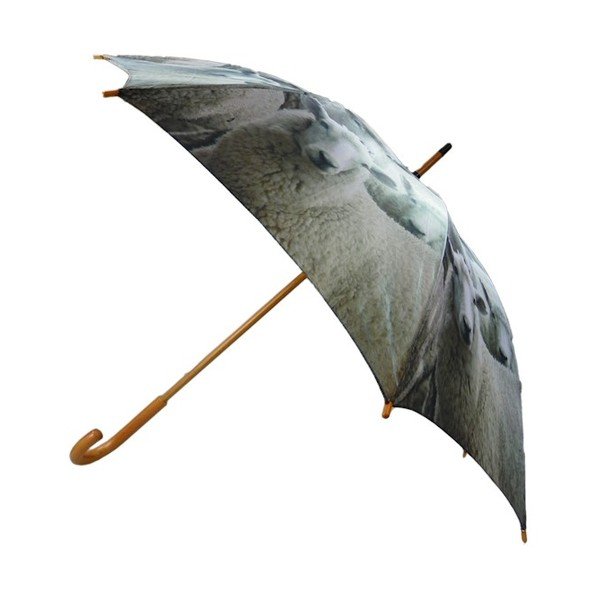 Parasol Sheep