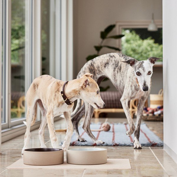 Miska dla psów ceramiczna ø 17 cm Sia – OYOY Living Design-image-1