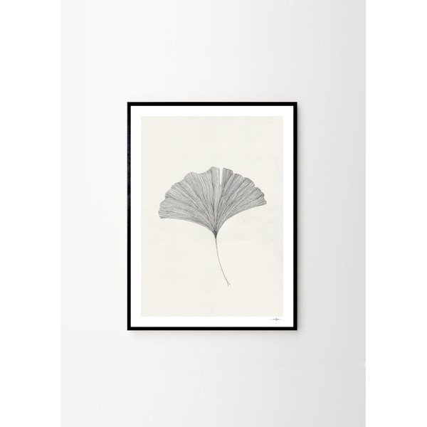 Plakat 50x70 cm Ginkgo Leaf – Ana Frois – The Poster Club-image-3