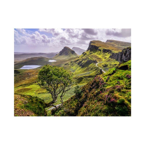Obraz Styler Canvas Scotland Nature, 85x113 cm-image-1
