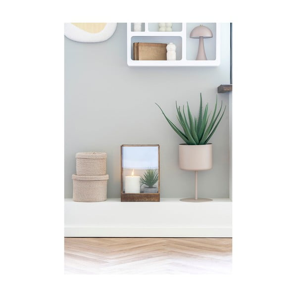 Sztuczna roślina (wysokość 51 cm) Aloe Vera – House Nordic-image-2