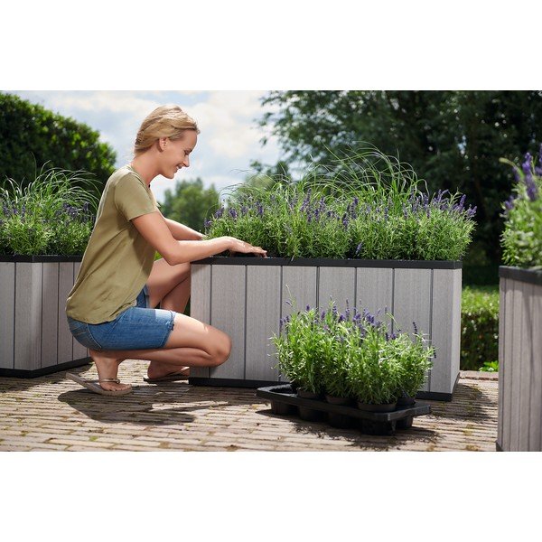 Podwyższona grządka Sequoia Duotech – Keter-image-3