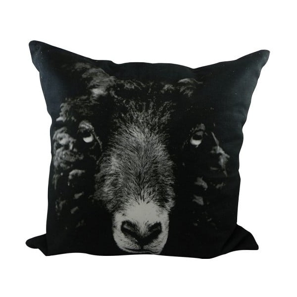 Poduszka Sepia Black Sheep 50x50 cm