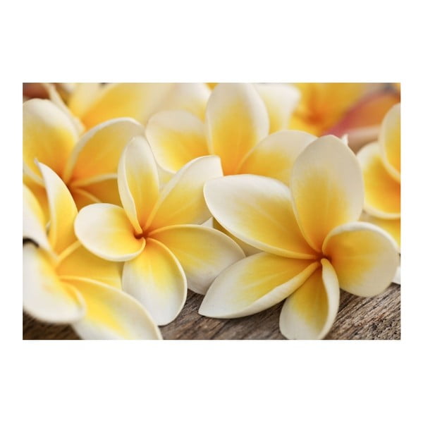 Tapeta samoprzylepna na meble Dimex Kwiaty, 125x85 cm-image-2