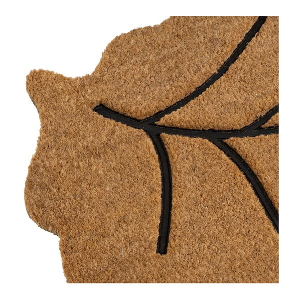 Wycieraczka z włókna kokosowego 45x75 cm Leaf – Casa Selección-image-3