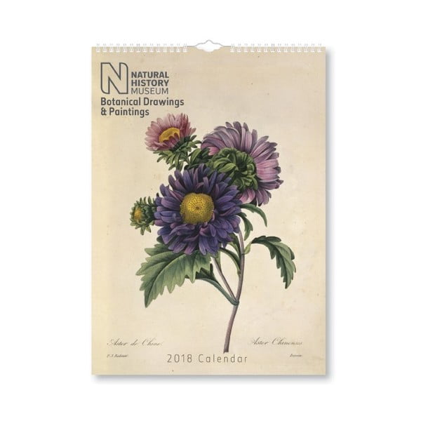 Kalendarz wiszący 2018 Portico Designs Natural History Museum Botanical, A3