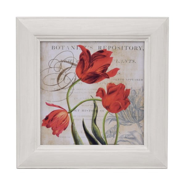 Obraz Ego Dekor Czerwony tulipan, 28x28 cm
