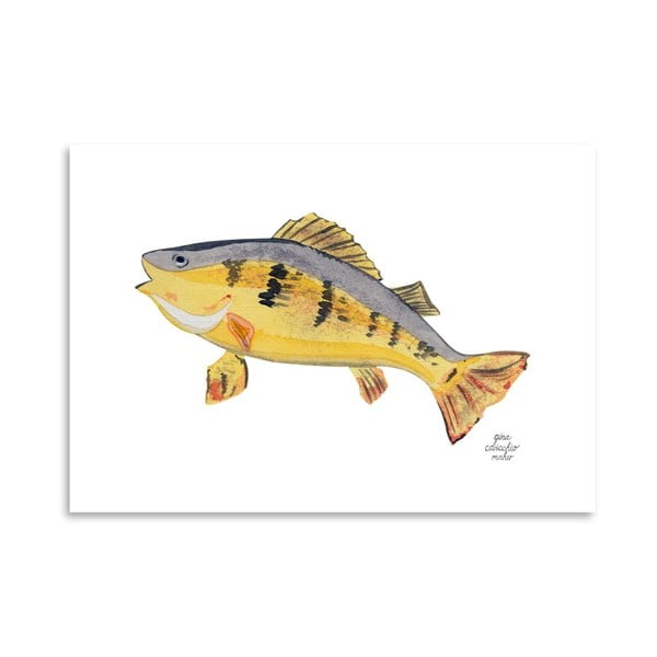 Autorski plakat Fish, 30x42 m
