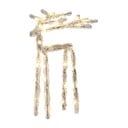 Dekoracja świetlna ze świątecznym motywem Icy Deer – Star Trading