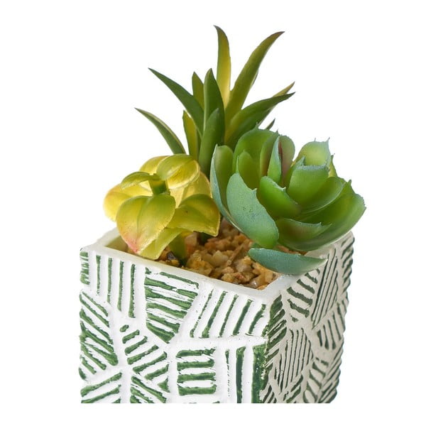 Sztuczne rośliny zestaw 3 szt. (wysokość 12 cm) Cactus – Casa Selección-image-2