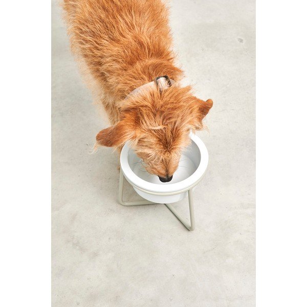 Porcelanowa miska ze stojakiem dla psów ø 20 cm Pranzo Greige M – MiaCara-image-3