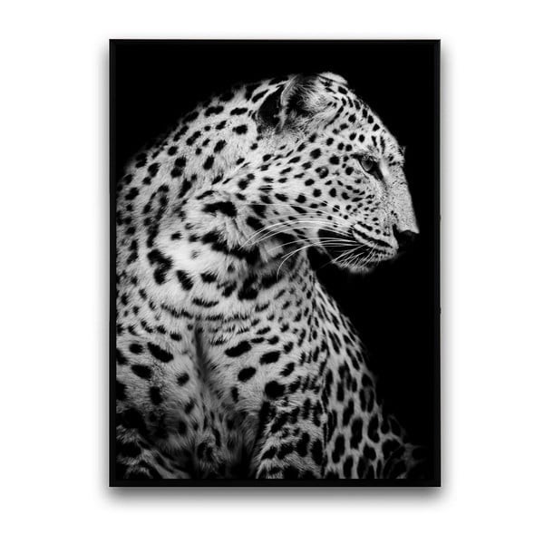 Plakat w drewnianej ramie Leopard