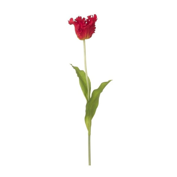Czerwony dekoracyjny kwiat Heaven Sends Rulip