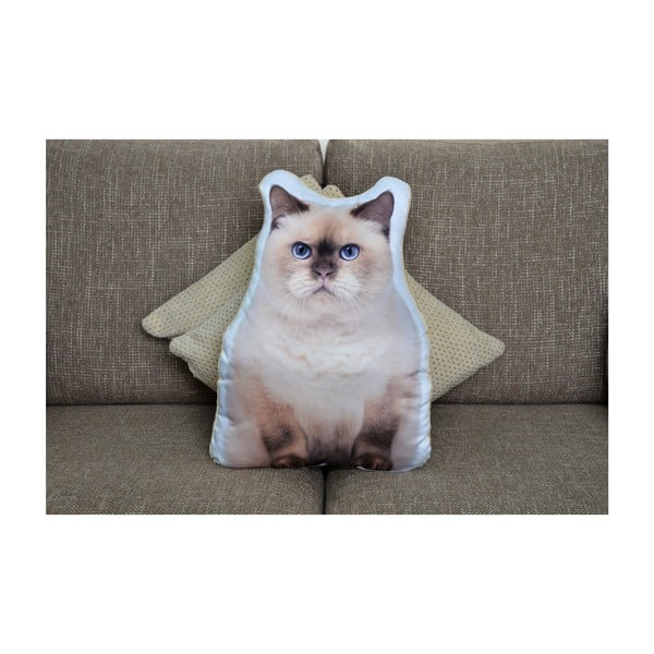 Poduszeczka Adorable Cushions Kot brytyjski-image-1