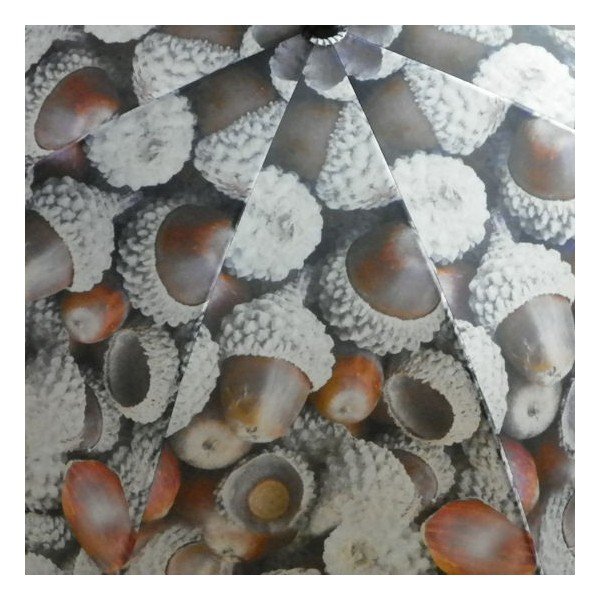 Parasol Acorn All Over-image-1