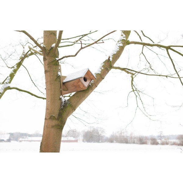 Drewniana budka dla sowy – Esschert Design-image-2