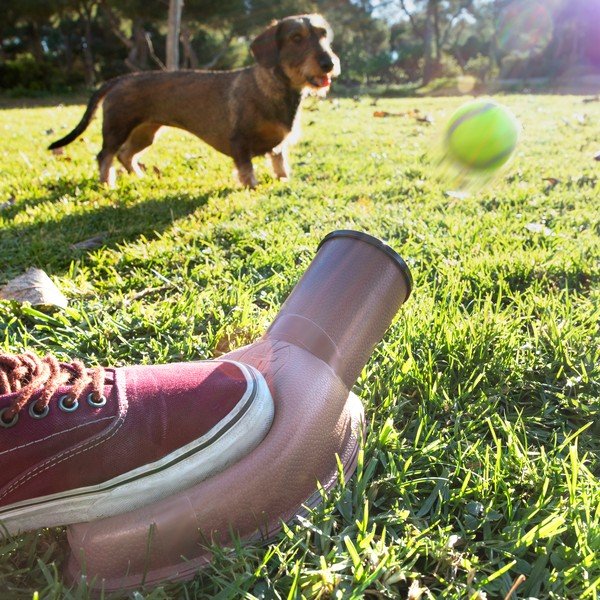 Wyrzutnia piłek dla piesków InnovaGoods Playdog-image-1