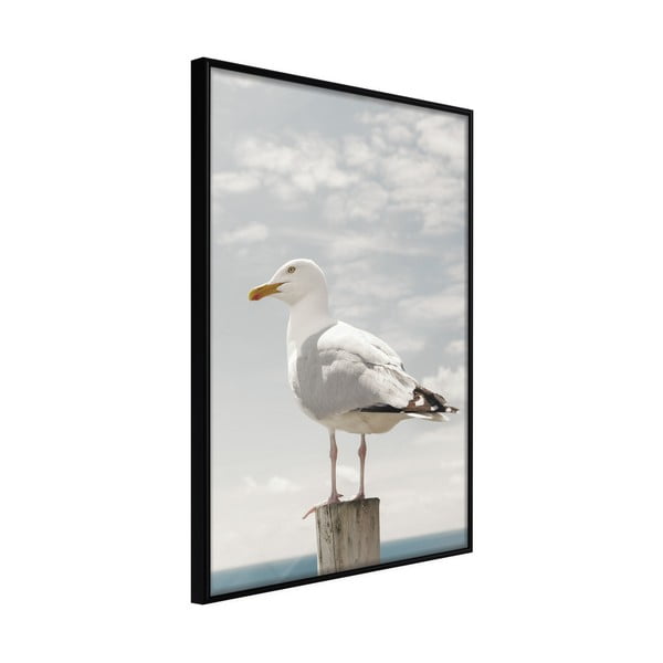 Plakat w ramie Artgeist Curious Seagull, 40x60 cm