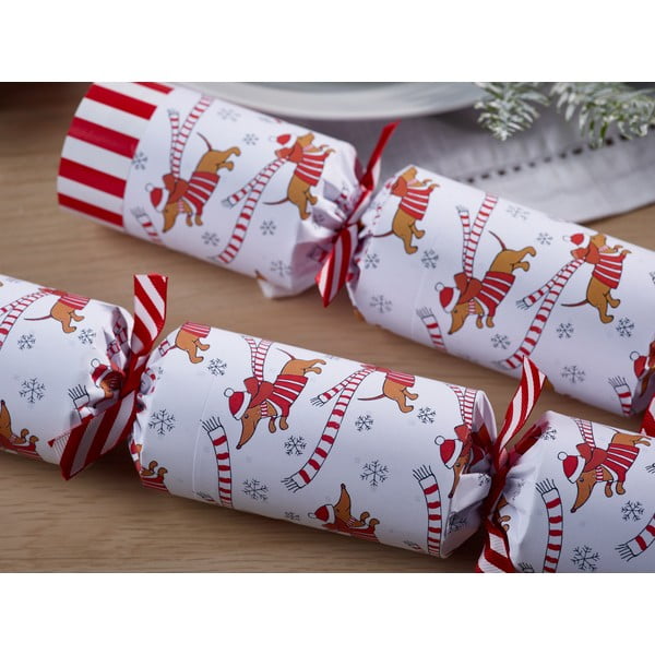 Crackery świąteczne zestaw 6 szt. Racing Sausage Dog – Robin Reed-image-2