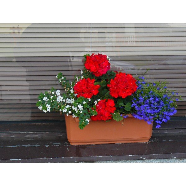 Brązowa doniczka z systemem nawadniania Plastia Siesta, dł. 60 cm-image-1