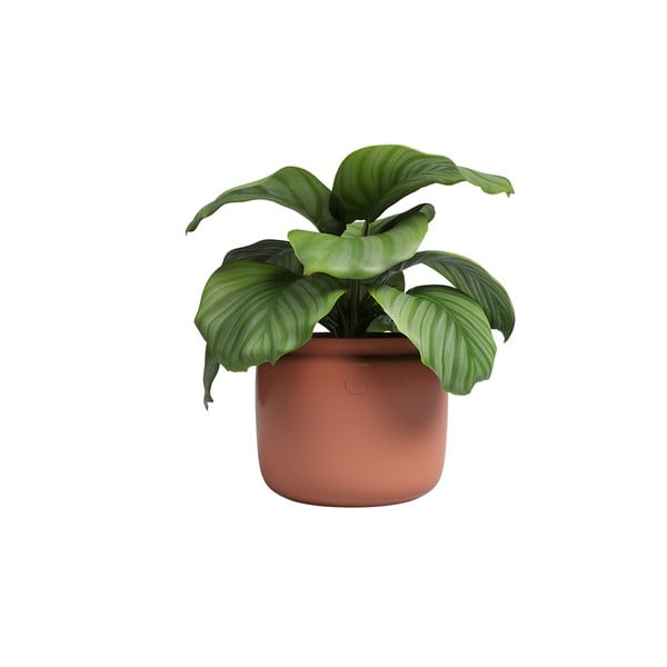 Ceramiczna ręcznie wykonana doniczka ø 20 cm Astrea – Artevasi-image-4