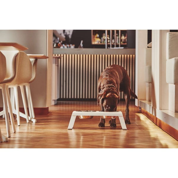 Metalowy zestaw misek dla psów ze stojakiem Desco White M – MiaCara-image-1